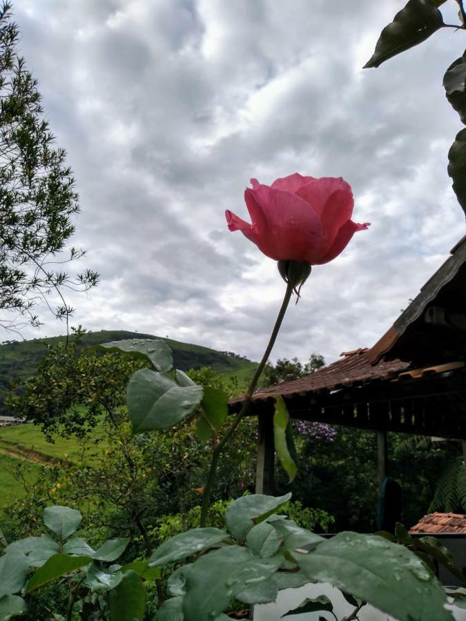 ヴィスコンデ・デ・マウアー Casa Da Rocaヴィラ エクステリア 写真